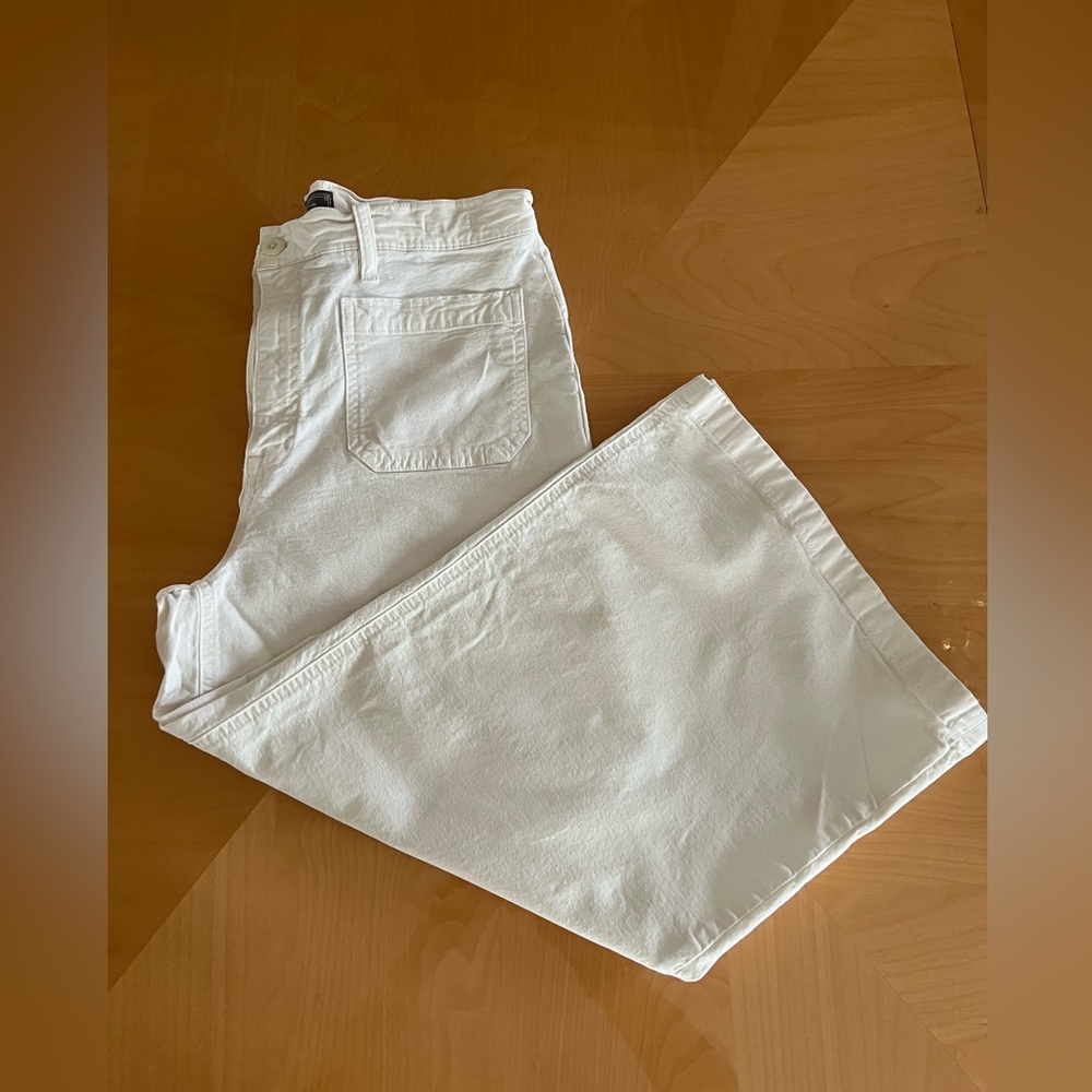 J. Crew Point Sur Pants